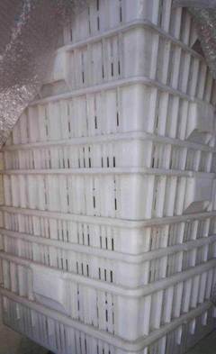 晉中平遙縣豆腐成套設(shè)備及技術(shù)轉(zhuǎn)讓服務(wù)簡介