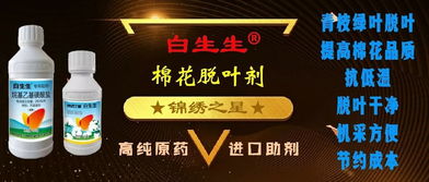 白生生棉花脫葉劑150團(tuán)總經(jīng)銷 專業(yè)產(chǎn)品技術(shù)咨詢服務(wù)